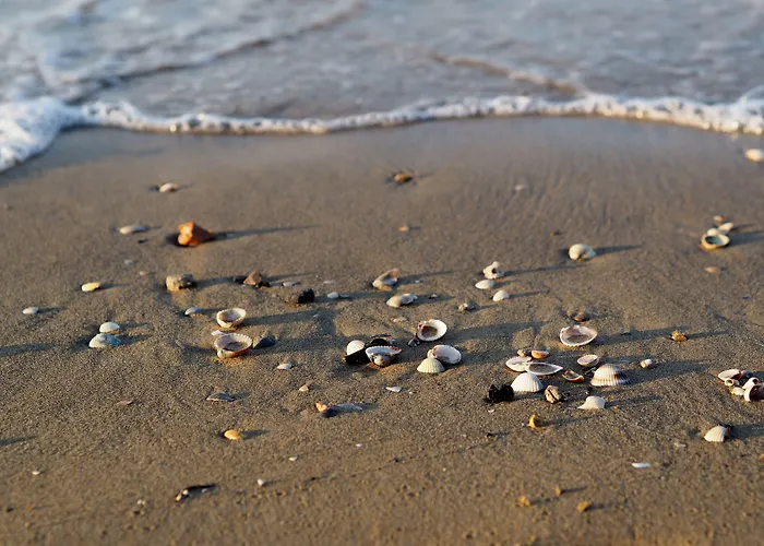 Comfortable With A Shared Pool-beahost